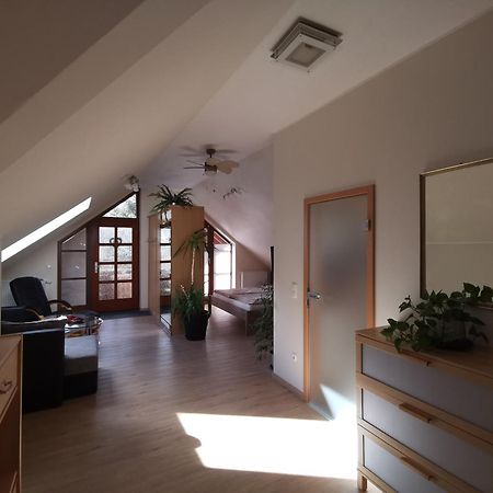 Studio Und Apartment Auf Dem Pferdehof Burgpreppach Exterior photo